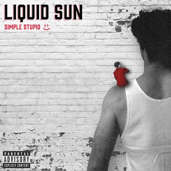 Simple Stupid cover art